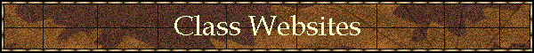 Class Websites